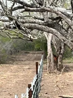 7bar-Fencing-4 7bar fencing 4